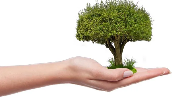 Environnement Artificier pour tirs de feux d'artifices en Bretagne et sur le Grand Ouest